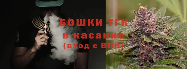 шишки Абаза