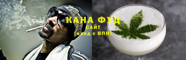 шишки Абаза