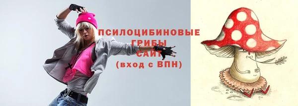 шишки Абаза