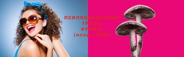 прущие крисы Абинск