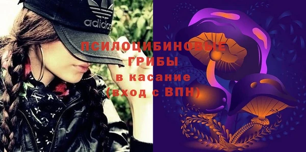 шишки Абаза