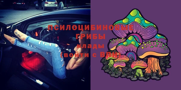 твердый Майский