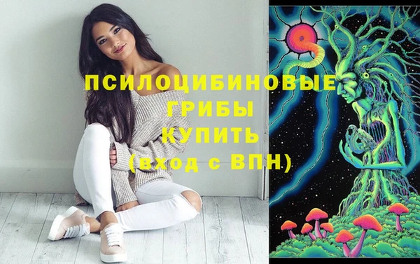 прущие крисы Абинск
