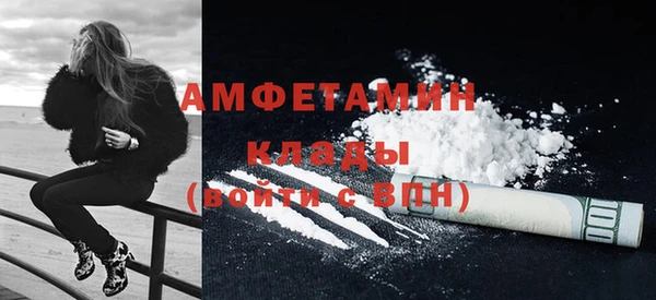 шишки Абаза