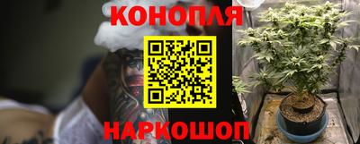 винт Анапа