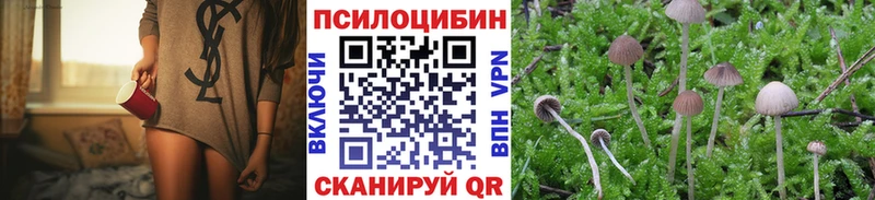 купить наркотик  Магнитогорск  Галлюциногенные грибы Psilocybine cubensis 