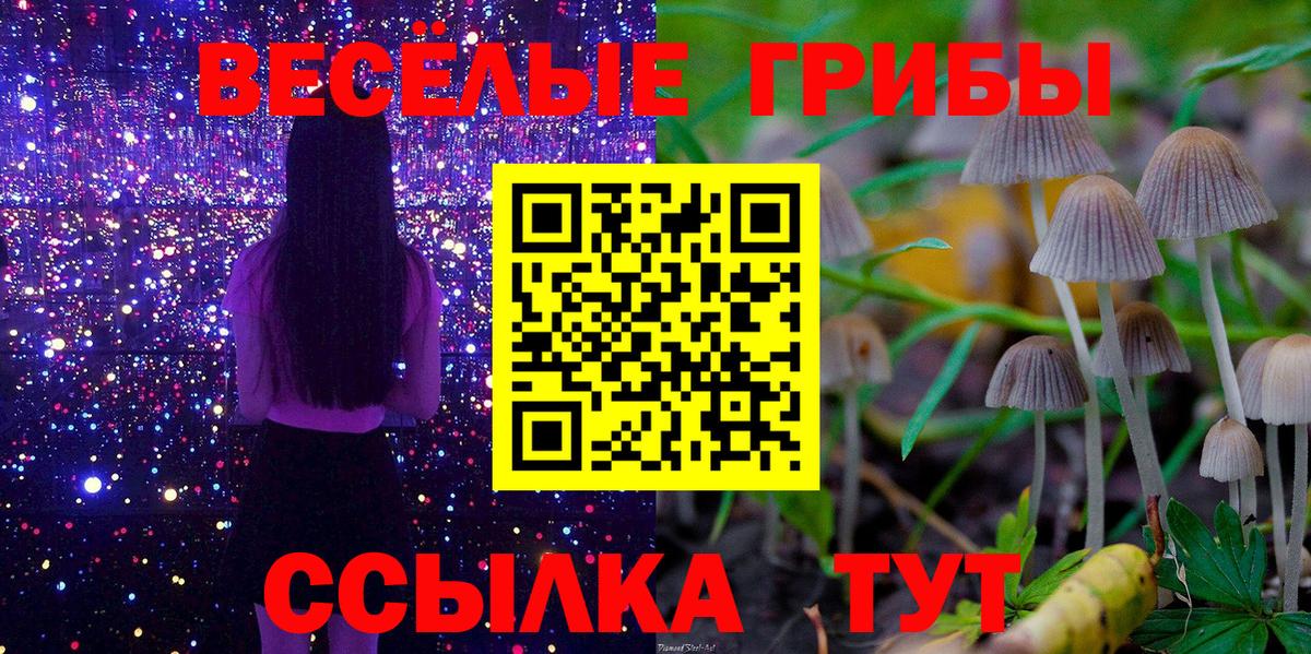 Галлюциногенные грибы Psilocybine cubensis  Вход с VPN  Магнитогорск  Псилоцибиновые грибы Psilocybe 